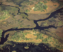 Klicken Sie zum Vergr��ern